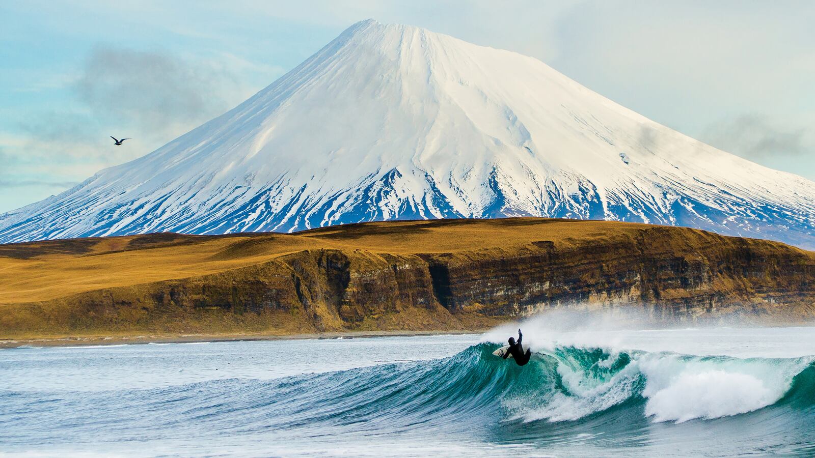 220808-surfer-tease_y4kg8p