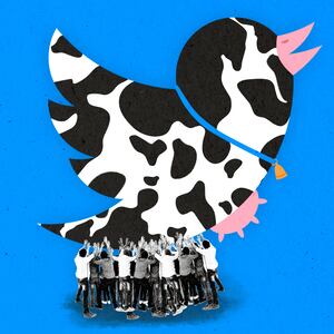 190320-sommer-devin-nunes-cow-twitter-hero_q8umfy
