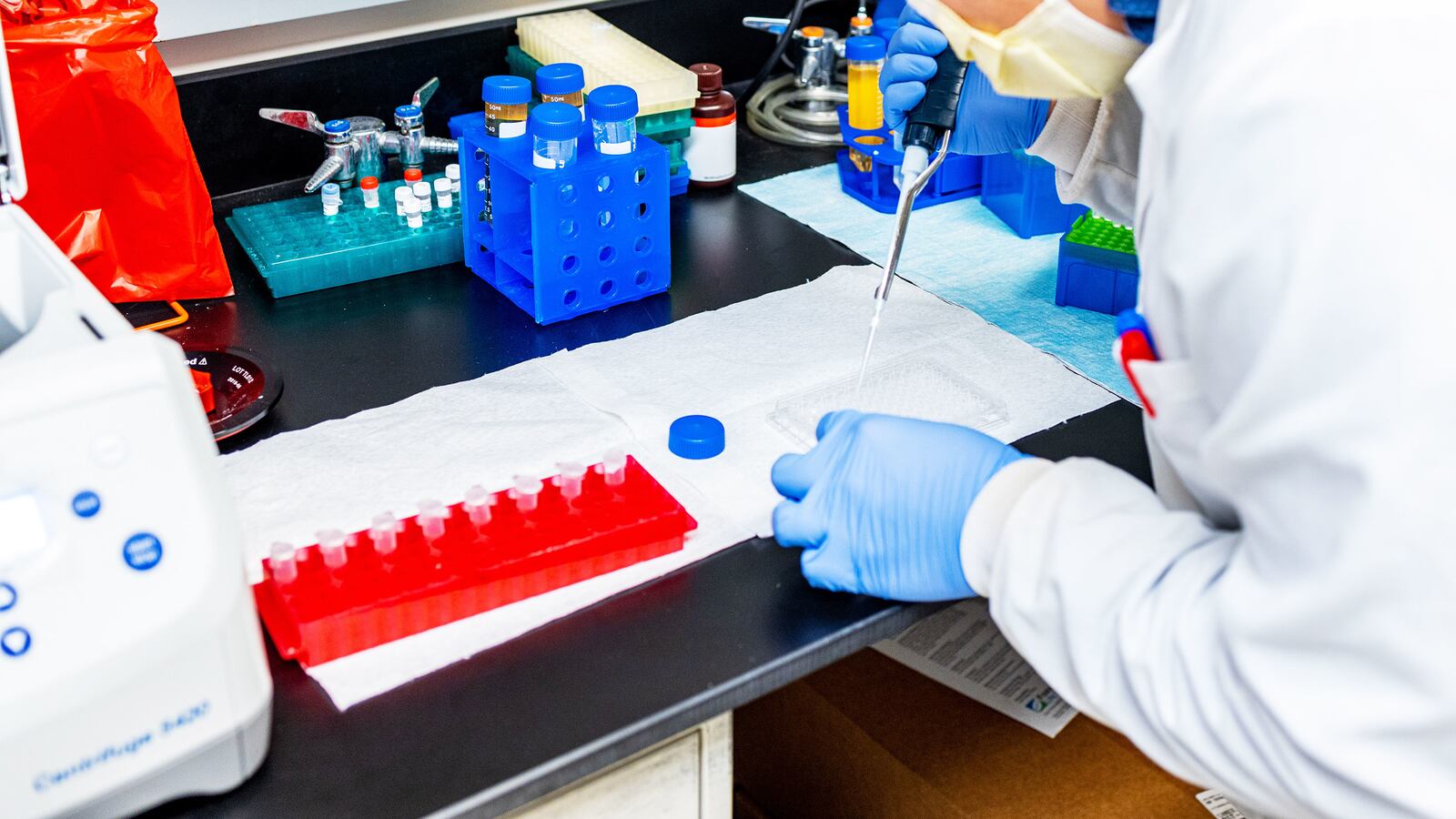 200916-rabbithole-Mellors-Testing-Lab-tease_oyjrnl