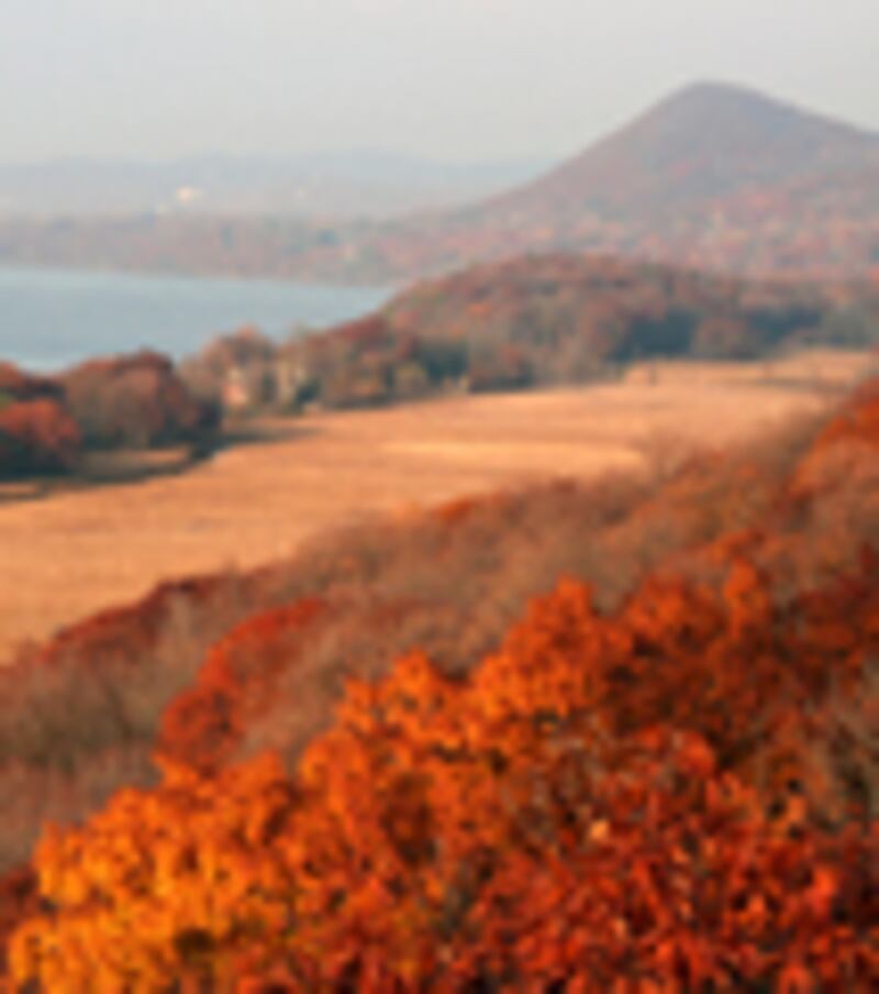 articles/2010/03/09/fresh-picks-36/fresh-picks-310---atlas-destination_q7gxl8