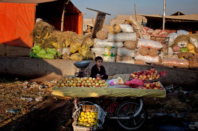 galleries/2011/10/27/photo-of-the-day/photo-of-the-day-111211-1_lcsget