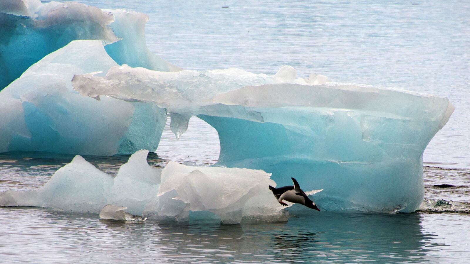 cheats/2014/12/02/glacial-melting-has-tripled-in-past-decade/141202-ice-melt-cheat_yp2duc