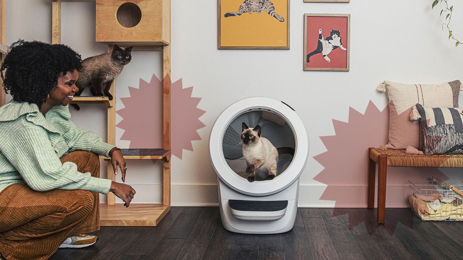 Litter-Robot 4 review