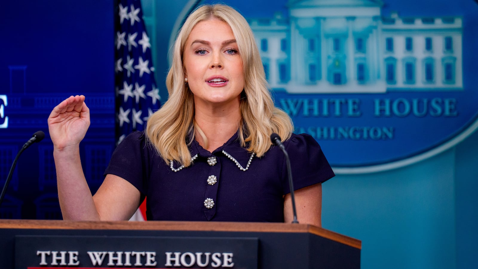 White House press secretary Karoline Leavitt speaks during the daily press briefing in the Brady Press Briefing Room at the White House on August 12, 2025 in Washington, DC.