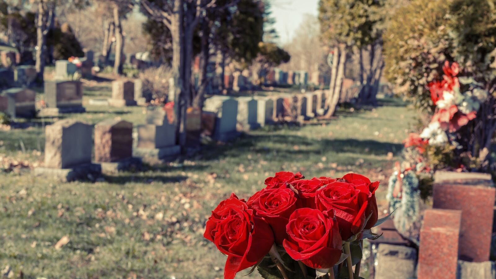 articles/2016/06/19/a-father-s-suicide-sets-a-son-searching/160618-My-Father-Before-Me-embed_wnxszg