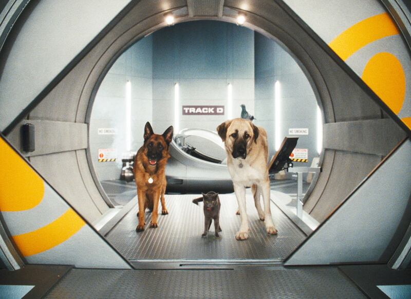 galleries/2010/09/02/summer-movie-scorecard/summer-movie-scorecard---cats-and-dogs_e1hsyu
