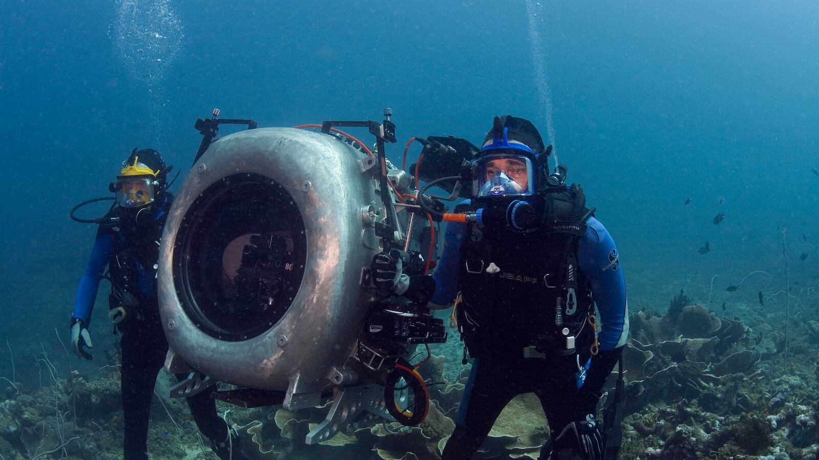 videos/2012/11/21/under-the-sea0/under-the-sea0-image_gjqri2