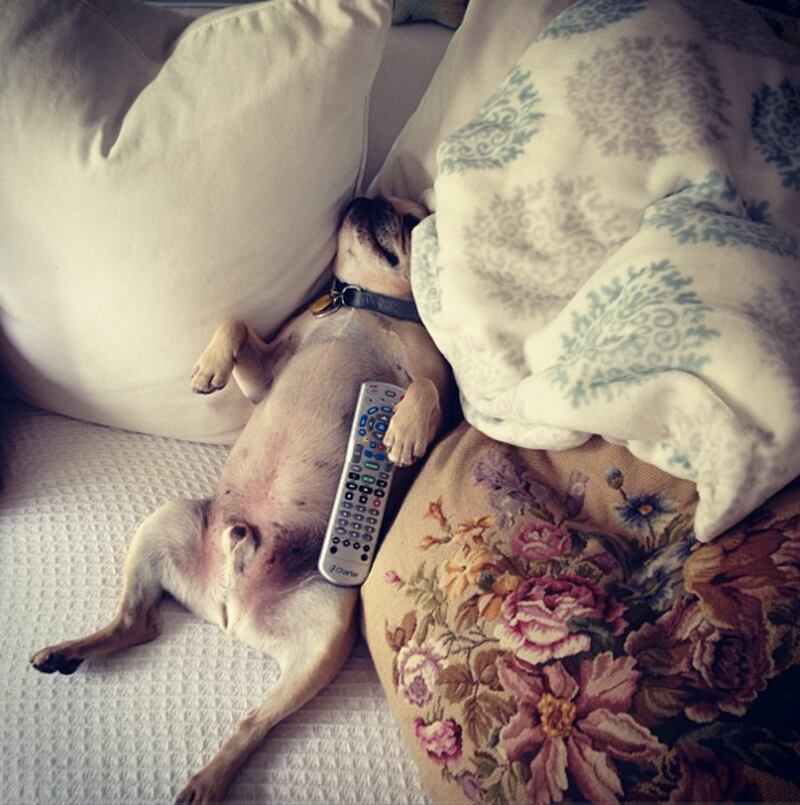 galleries/2013/03/31/lindsay-lohan-shakira-more-celebrity-twitter-pictures-photos/130327-twit-pics-jenner_cnoc4h