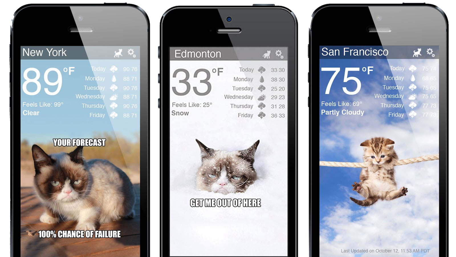 articles/2013/08/07/weather-kitty-app-makes-meteorology-fun/130807-Fares-weather-cat-tease_lytvn0