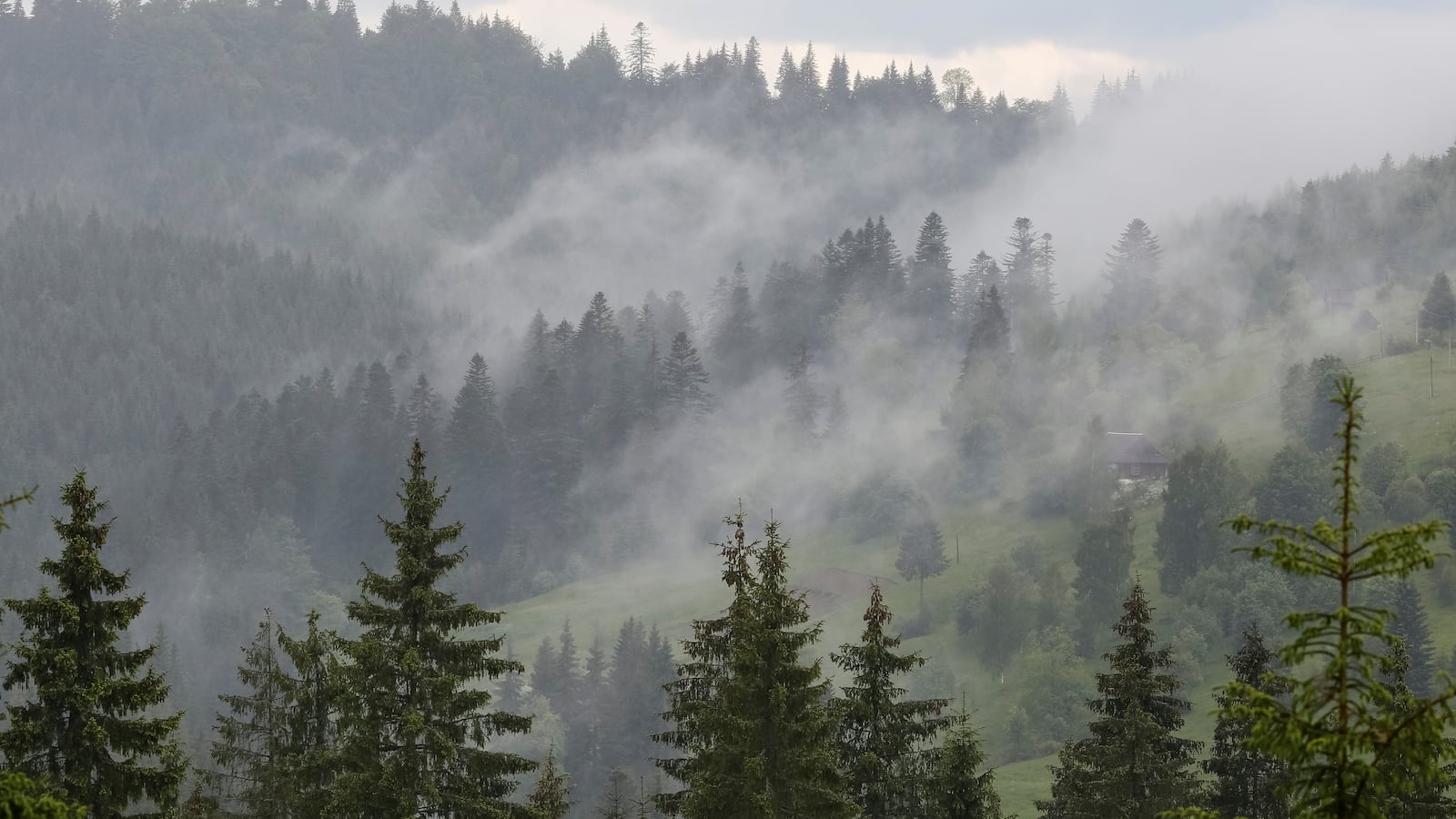 2016-06-16T120000Z_155084988_D1AETKFQACAA_RTRMADP_3_UKRAINE-ENVIRONMENT_y9hq5z