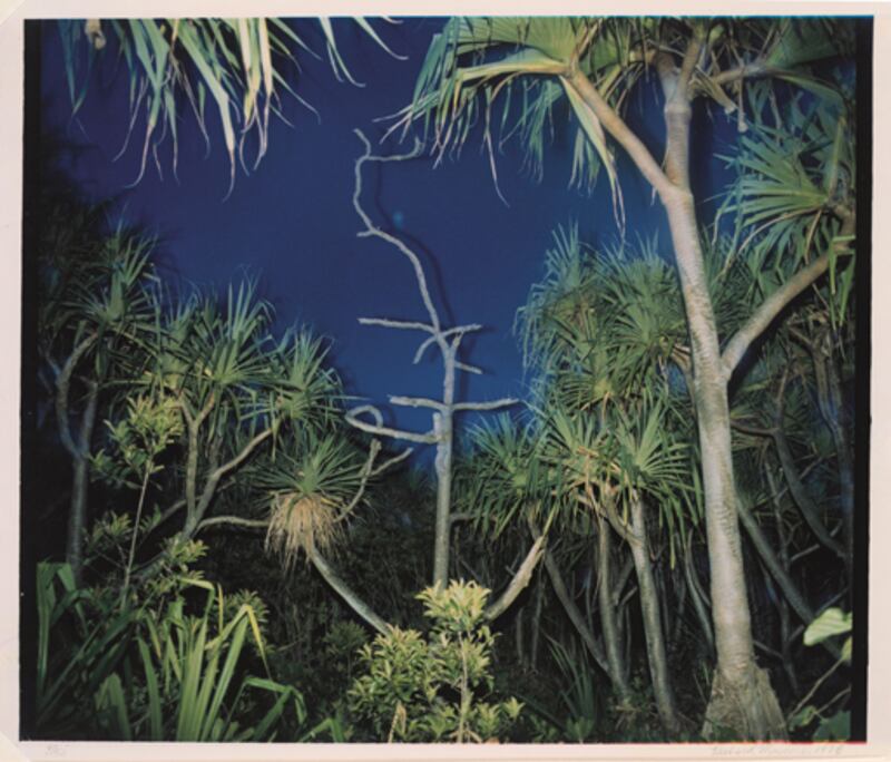 galleries/2010/02/16/starburst-color-photography-in-america-1970-1980/starburst-17_ppjxen