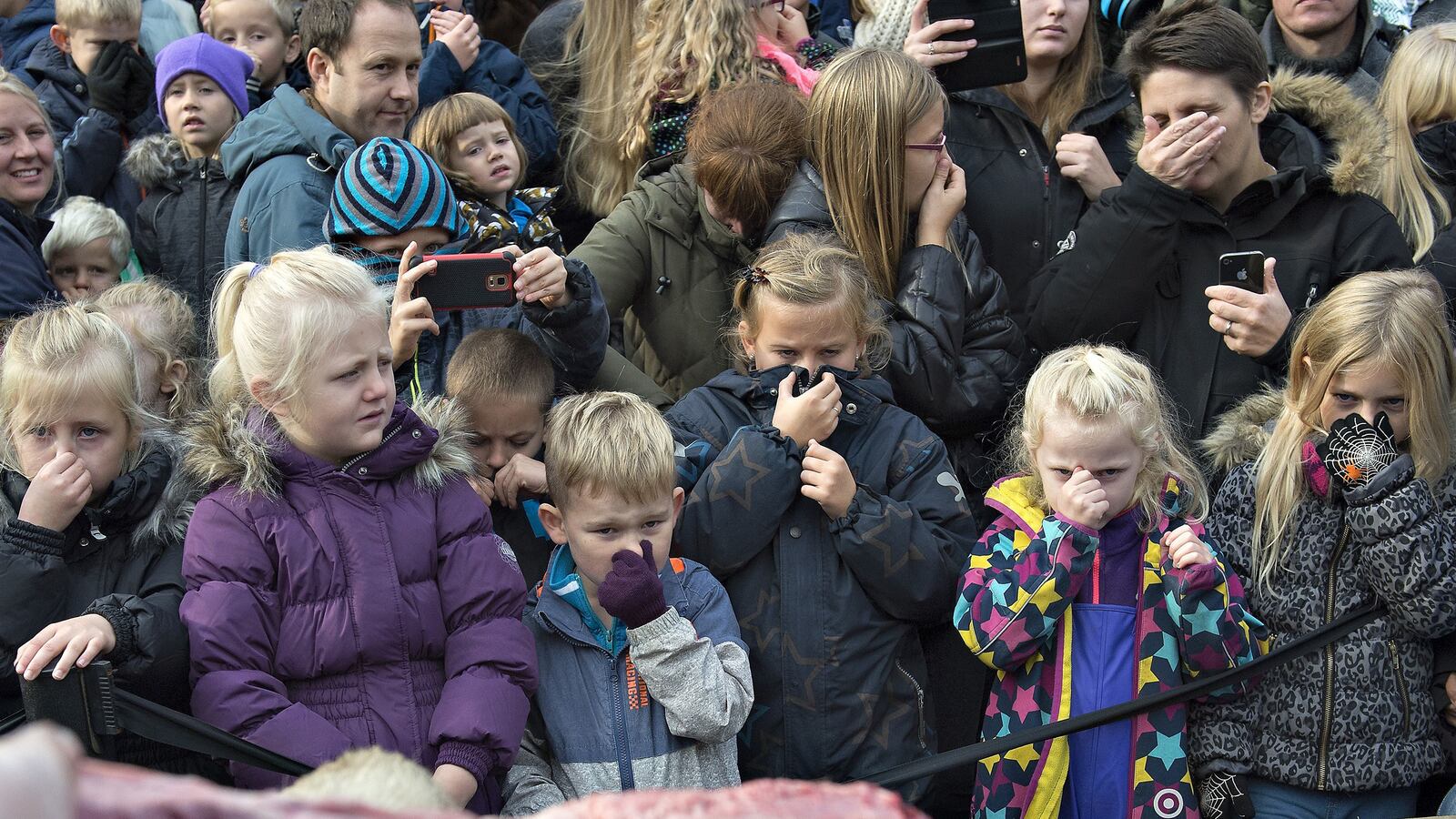 articles/2015/10/15/forget-cecil-danes-chop-up-lions-in-front-of-kids/151015-nadeau-lion-tease_kxutvs