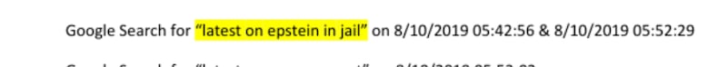 Prison guard Tova Noel Google searched "latest on epstein in jail" twice less than an hour before he was found unresponsive, released Epstein documents showed.