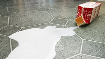 cheats/2011/04/16/boy-arrested-over-spilled-milk/spilled-milk_bu5ise