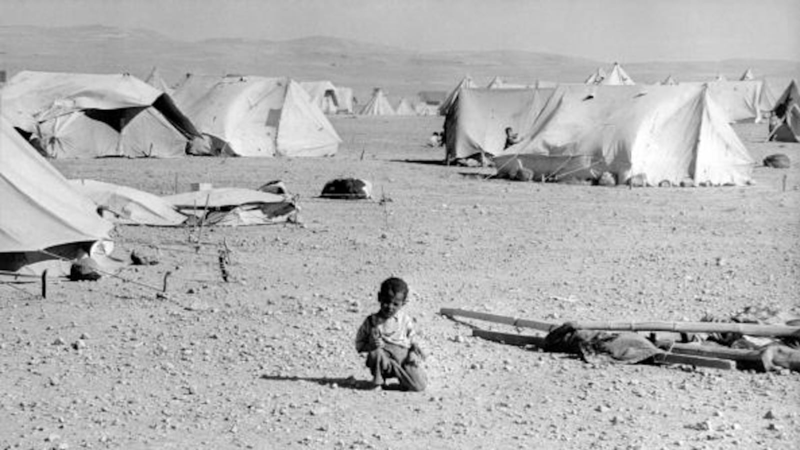 articles/2012/11/09/my-father-s-peace-proposal/palestinianchild_ijilkg