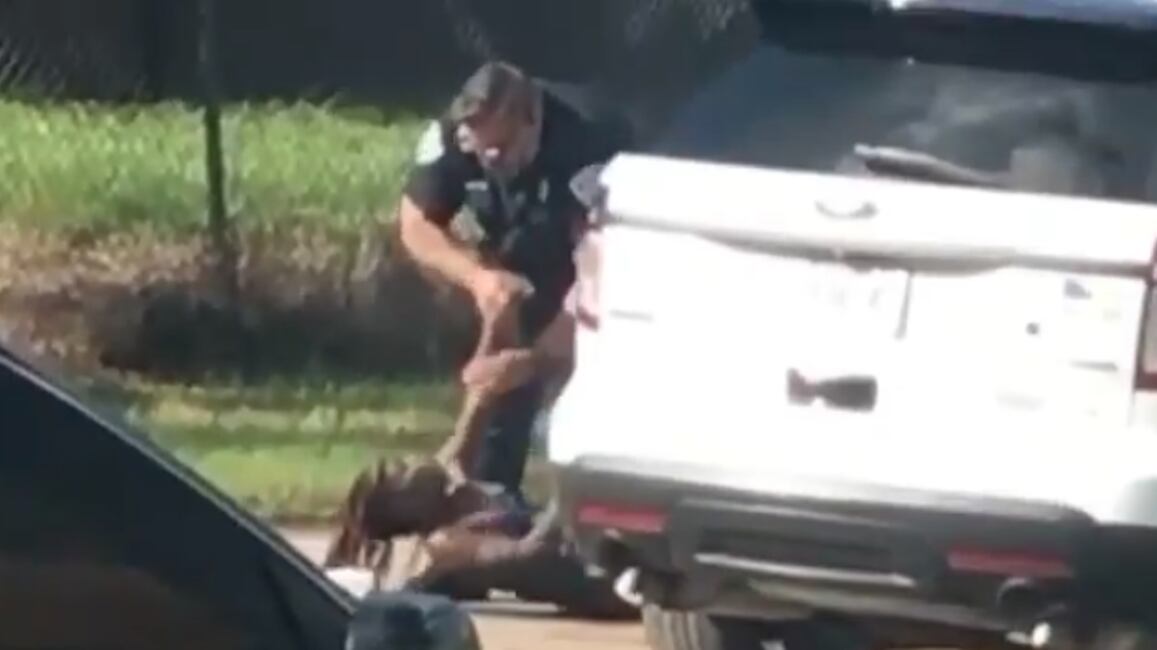 616a1feb8cd5c.image_d4wngt