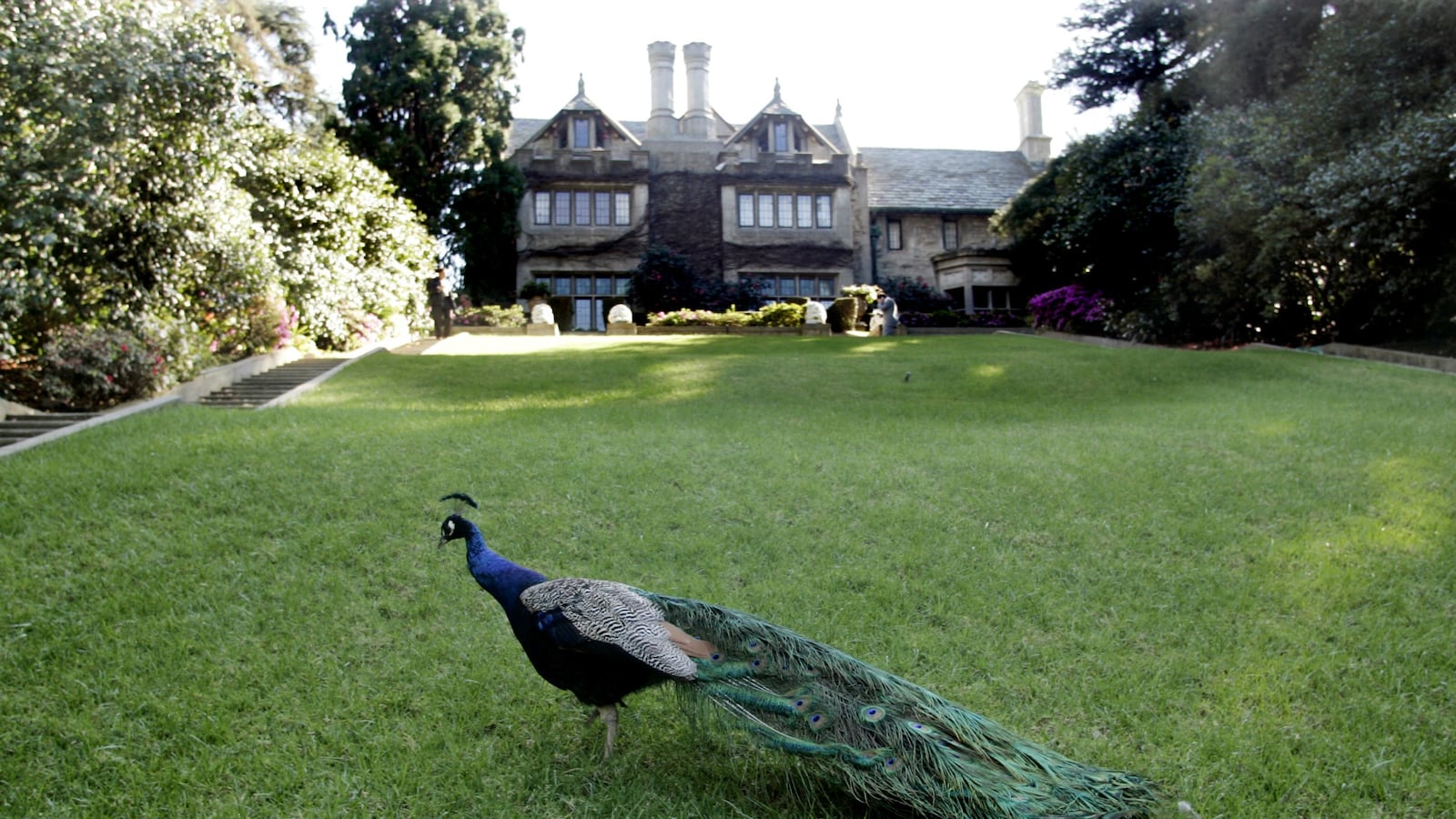 cheats/2016/06/07/playboy-mansion-sold-to-twinkie-king/160607-playboy-deal-twinkie-cheat_gxy4qj