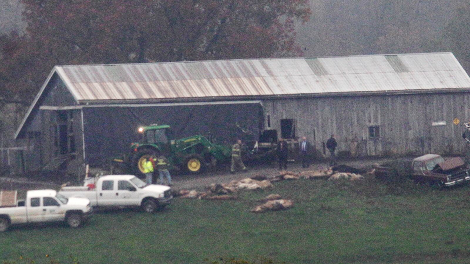 cheats/2011/10/20/ohio-police-kill-49-exotic-animals/exotic-animals-ohio-all-accounted-cheat_lmg7jf