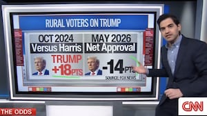 CNN data analyst