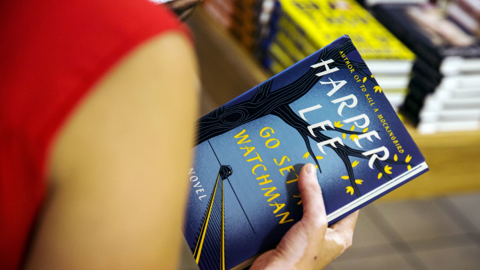 cheats/2015/07/14/harper-lee-chortled-at-book-reviews/150714-watchman-cheat_g9vldt