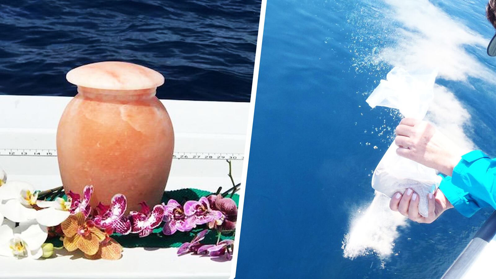 200804-alvarado-tease_zbrlfz