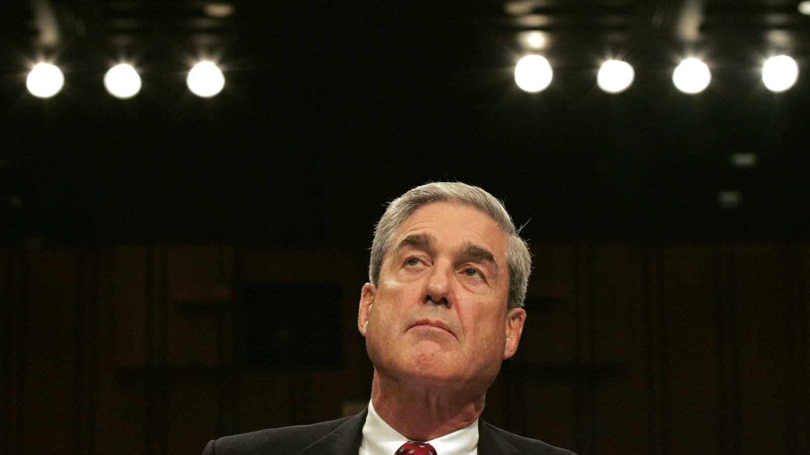 Mueller1_tyigyu