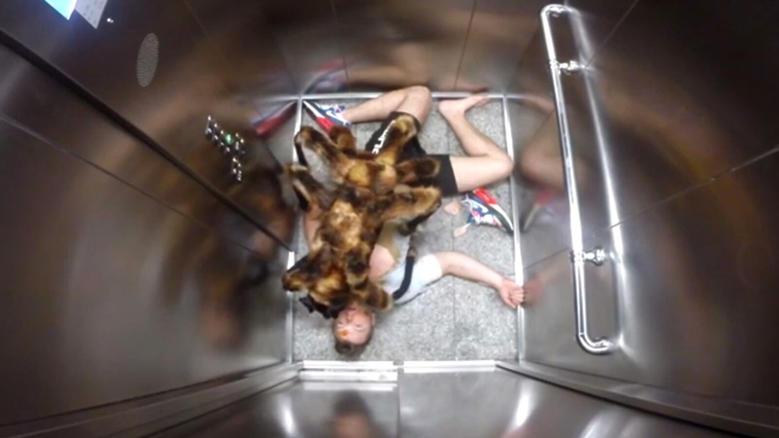 articles/2014/09/07/cartoon-streetfights-giant-mutant-spider-dogs-and-more-viral-videos/140905-wivv-tease_oc72jw