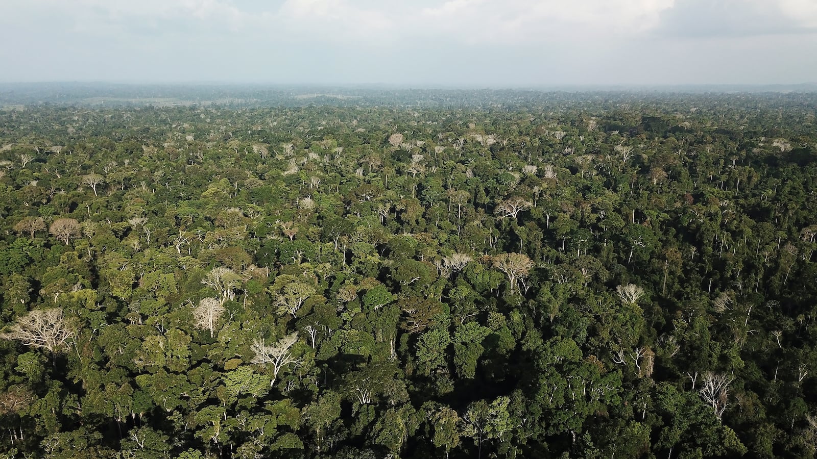 2019-08-29T123323Z_201486568_RC191E1FCE10_RTRMADP_3_BRAZIL-ENVIRONMENT-WILDFIRES_fhgo3y