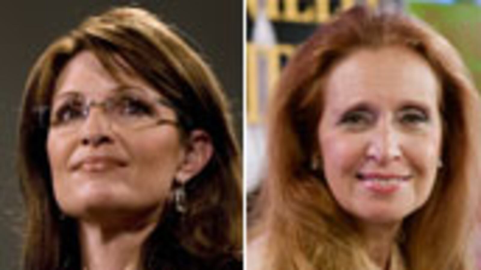 articles/2009/11/17/sarah-palin-or-danielle-steel/palin-quiz_63577_lrcour