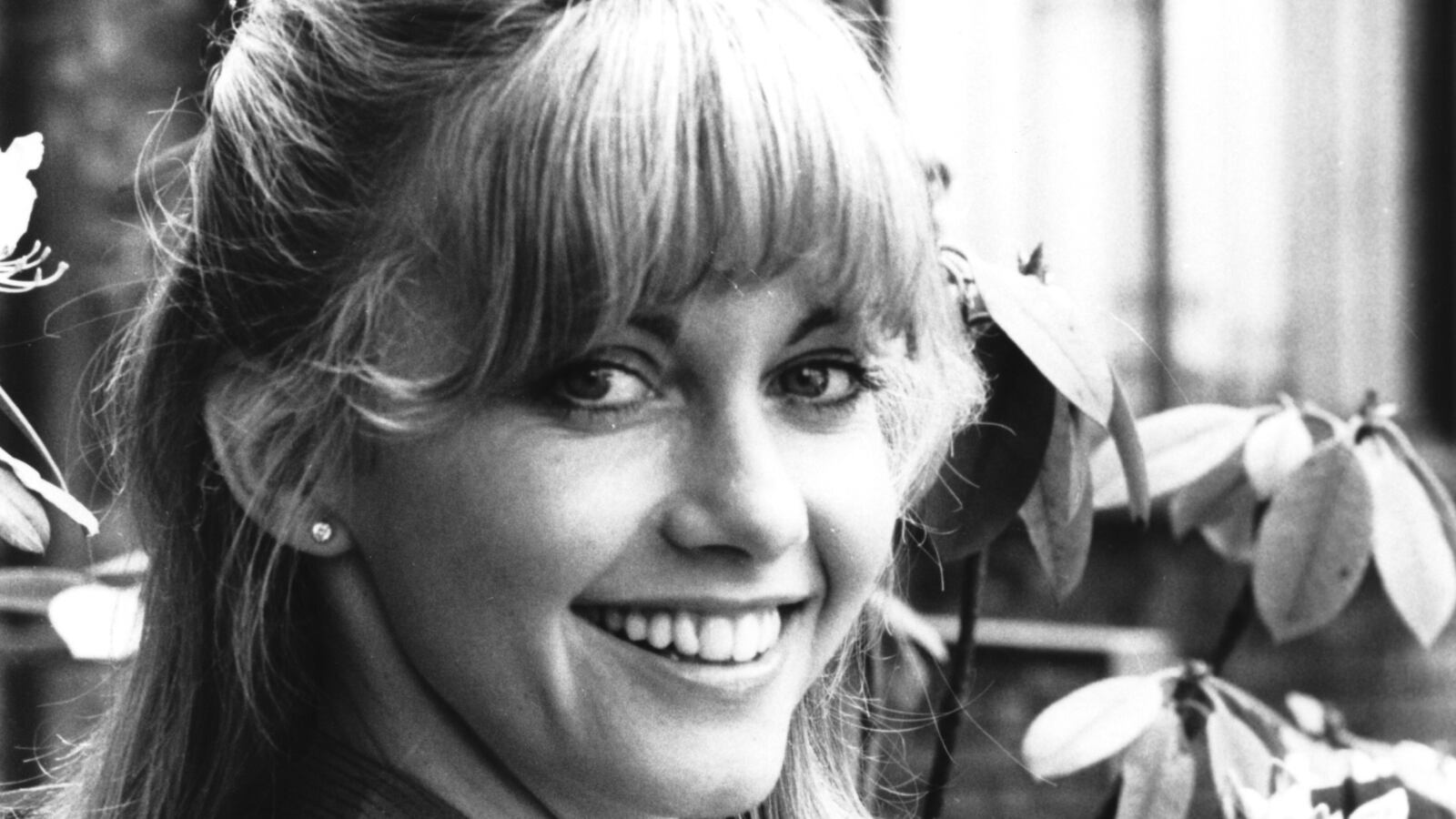 GettyImages-82837340_nlpfn1