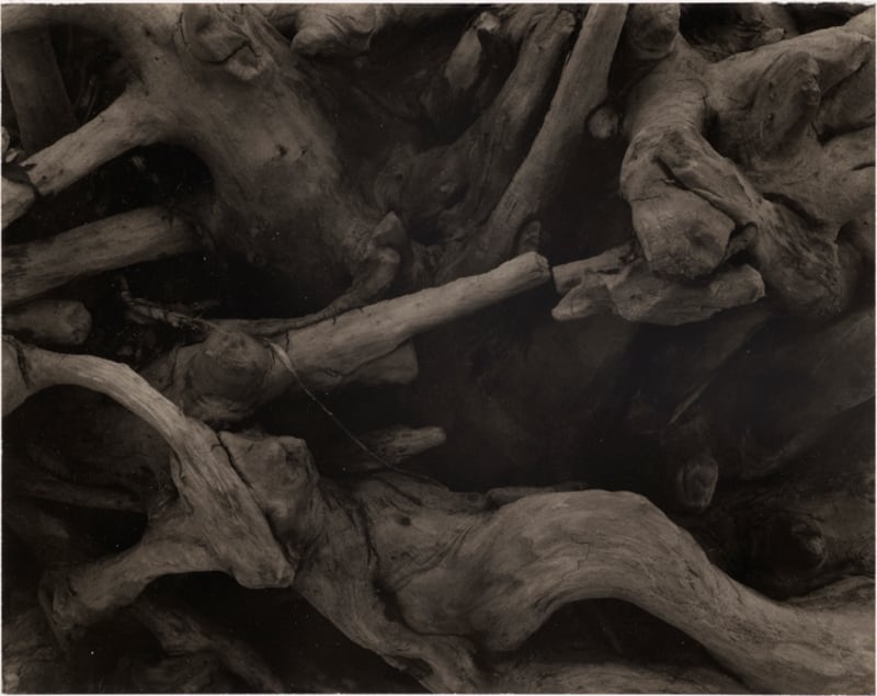 galleries/2011/08/14/modernist-photography-exhibit-boston-mfa-photos/boston-mfa-gallery03_ulmtql