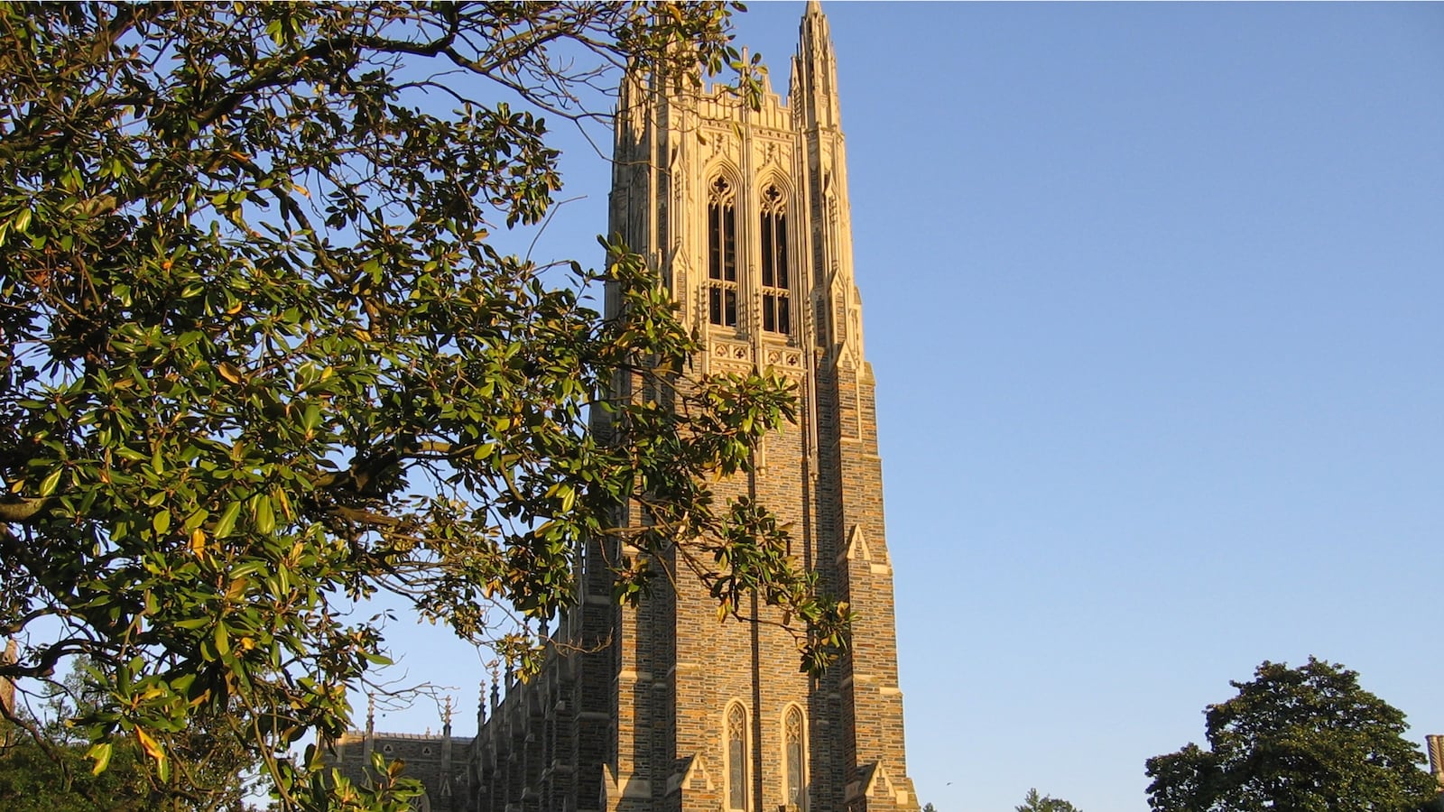 cheats/2015/04/01/noose-found-on-duke-campus/150401-duke-noose-cheat_cocv1w