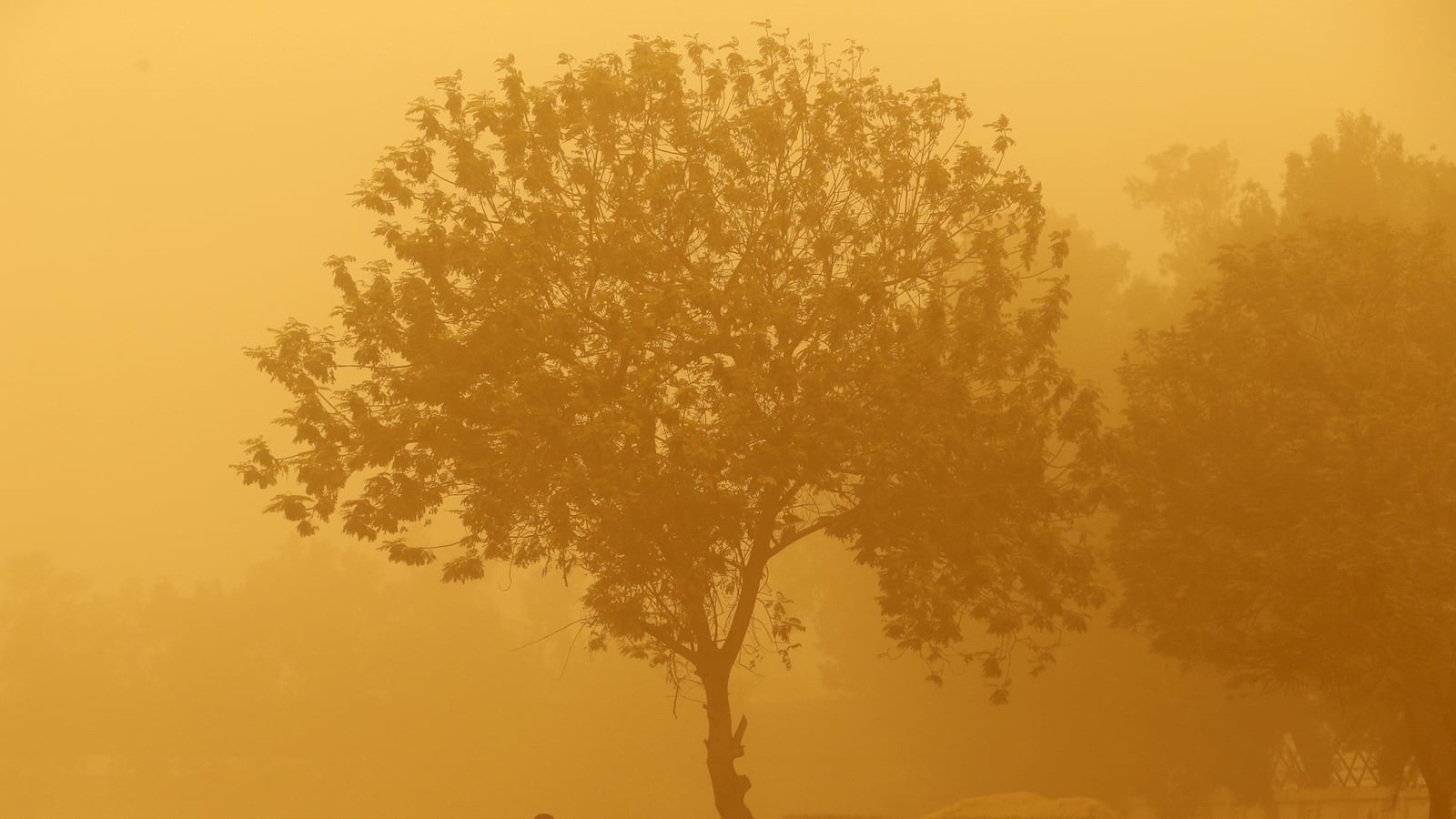 galleries/2015/04/04/the-week-in-pictures-april-4-2015/150403-week-photo11_jv7wa5