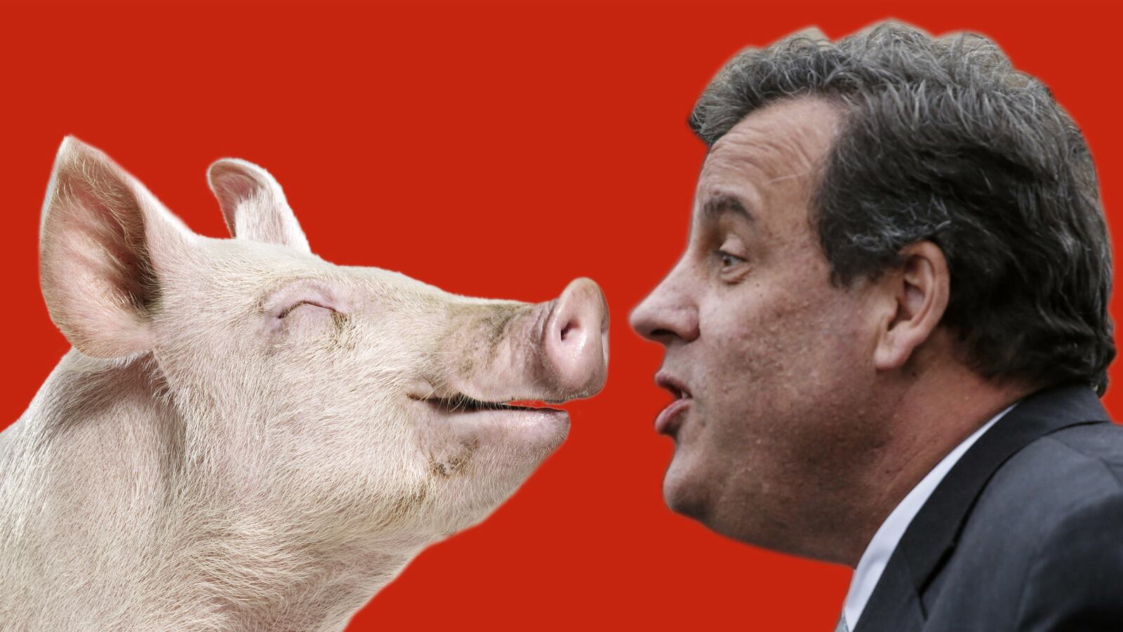 articles/2014/11/01/will-chris-christie-bow-to-iowa-s-pork-kings/141030-nuzzi-chris-christie-tease_nogthi
