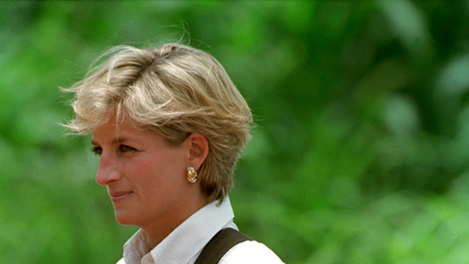 articles/2013/03/08/harry-joins-diana-s-landmine-charity/diana-birthday-crusader_dfaozu