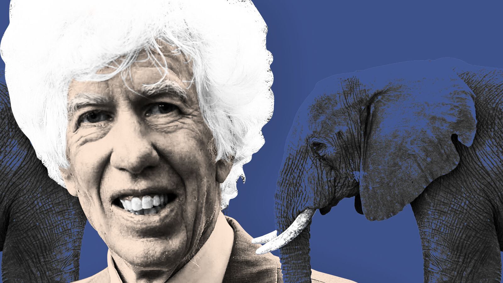 180210-kiser-esmond-bradley-martin-hero_igzrxi