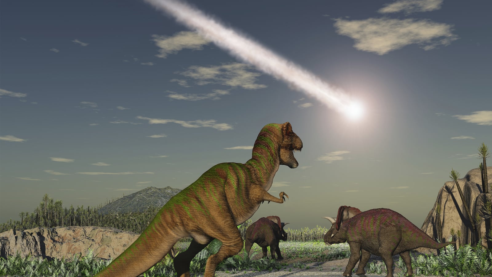 articles/2015/06/28/the-sixth-mass-extinction-we-aren-t-the-dinosaurs-we-re-the-asteroid/150626-francis-extinction-tease_yiirrk