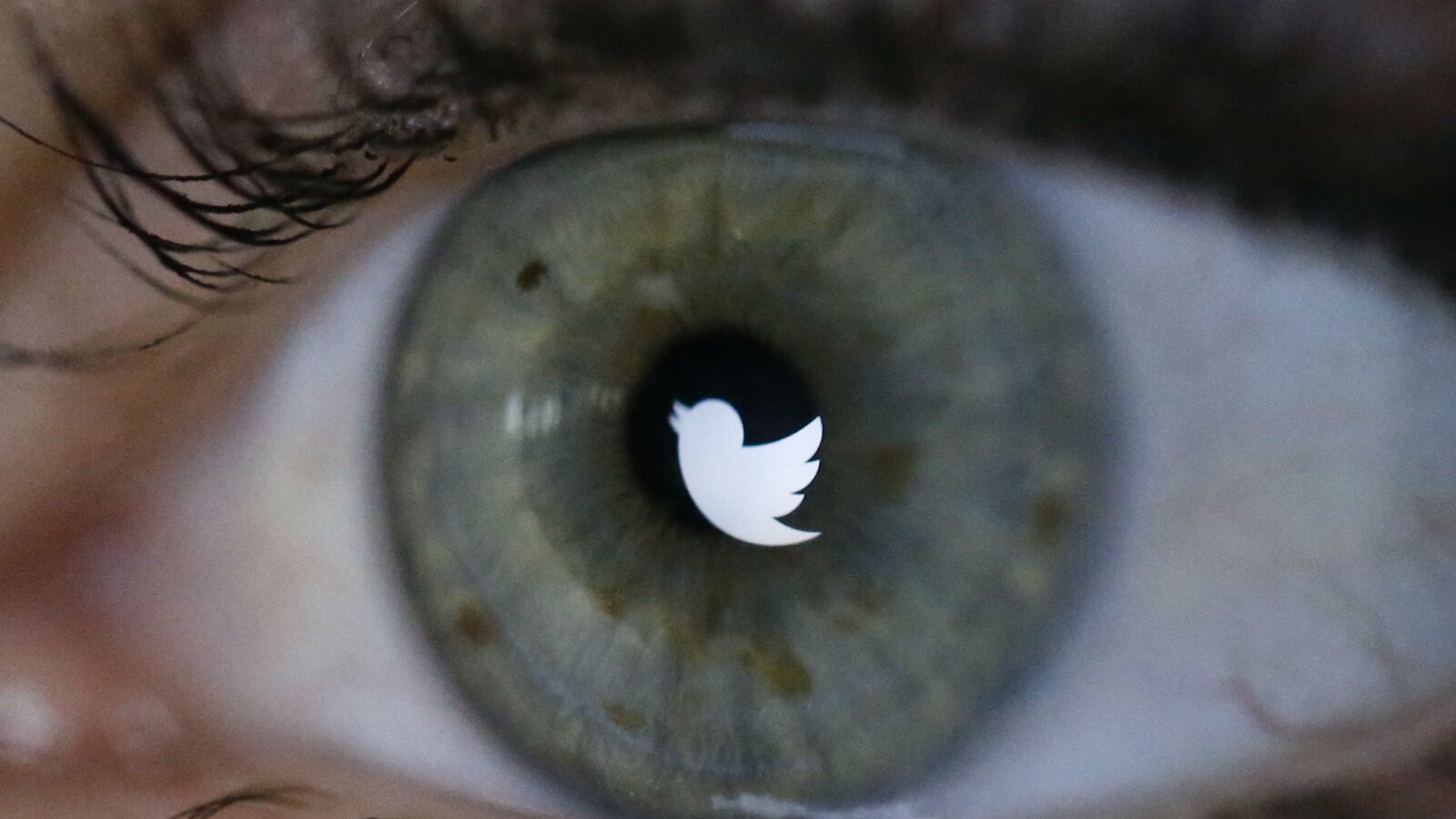 cheats/2015/04/21/twitter-will-test-autoblocking-abuse/150421-twitter-cheat_sutnpq