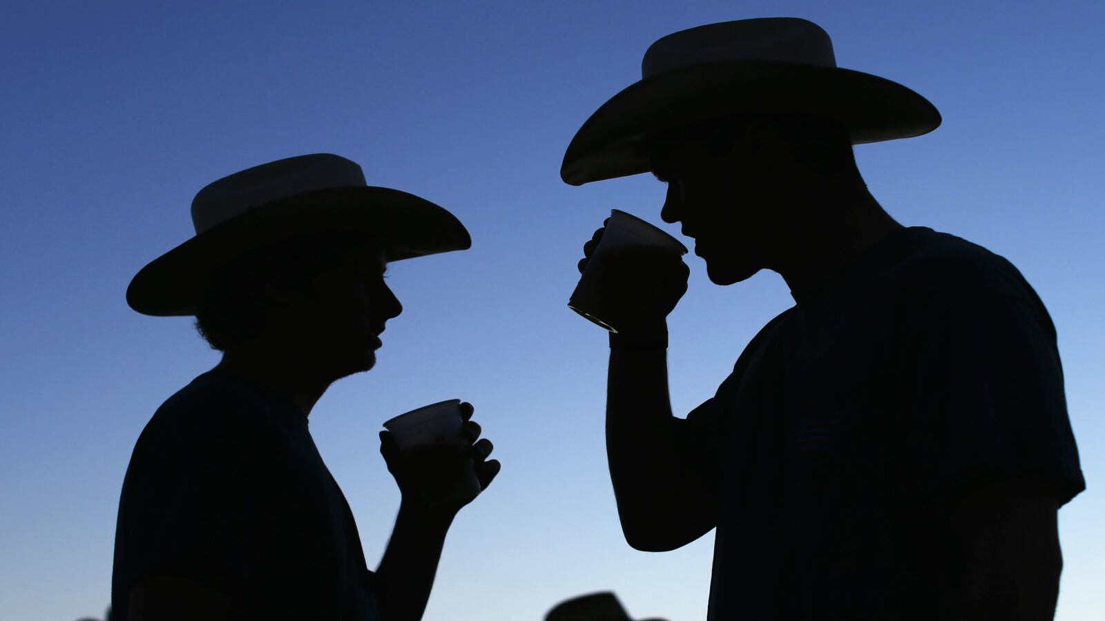 cheats/2014/11/20/study-most-heavy-drinkers-are-not-alcoholics/141120-drinkers-cheat_mb6is3