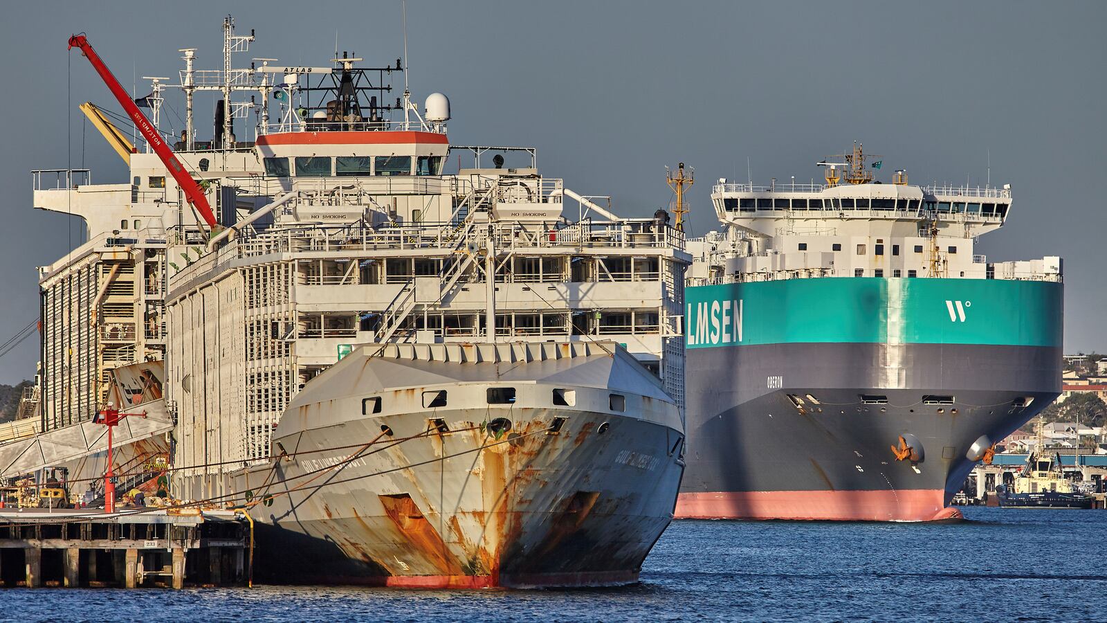 2020-09-03T045859Z_1157331725_RC2SQI9TQRDA_RTRMADP_3_JAPAN-NEWZEALAND-SHIP_kmzolv