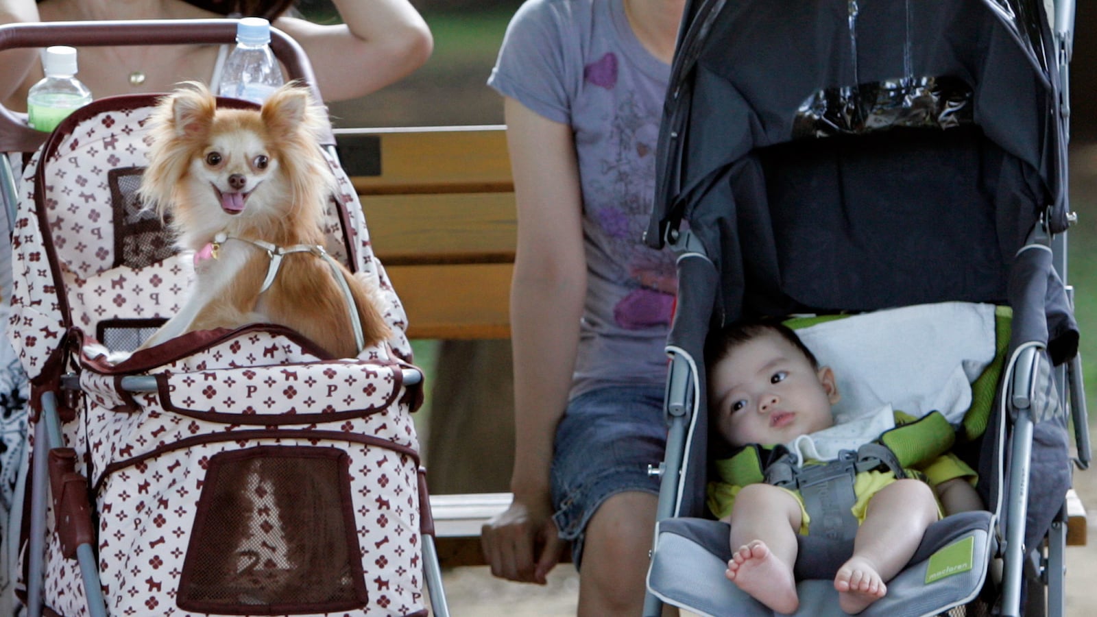 articles/2014/06/06/pope-francis-is-wrong-about-my-child-free-life/140605-marcotte-pope-tease_y0e8do