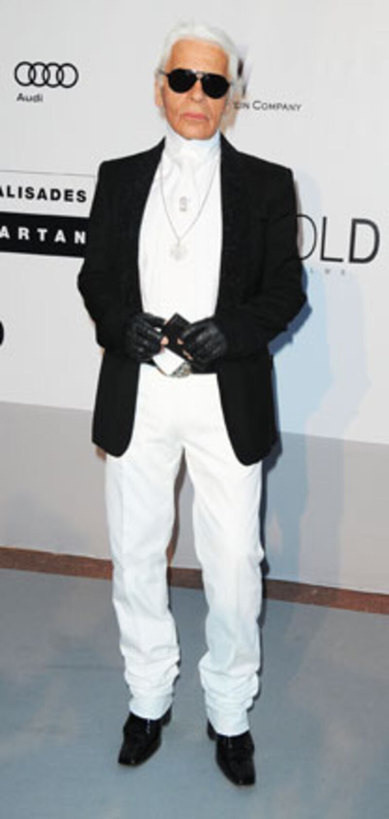 galleries/2010/05/20/amfar/amfar---lagerfeld_z8kuxv