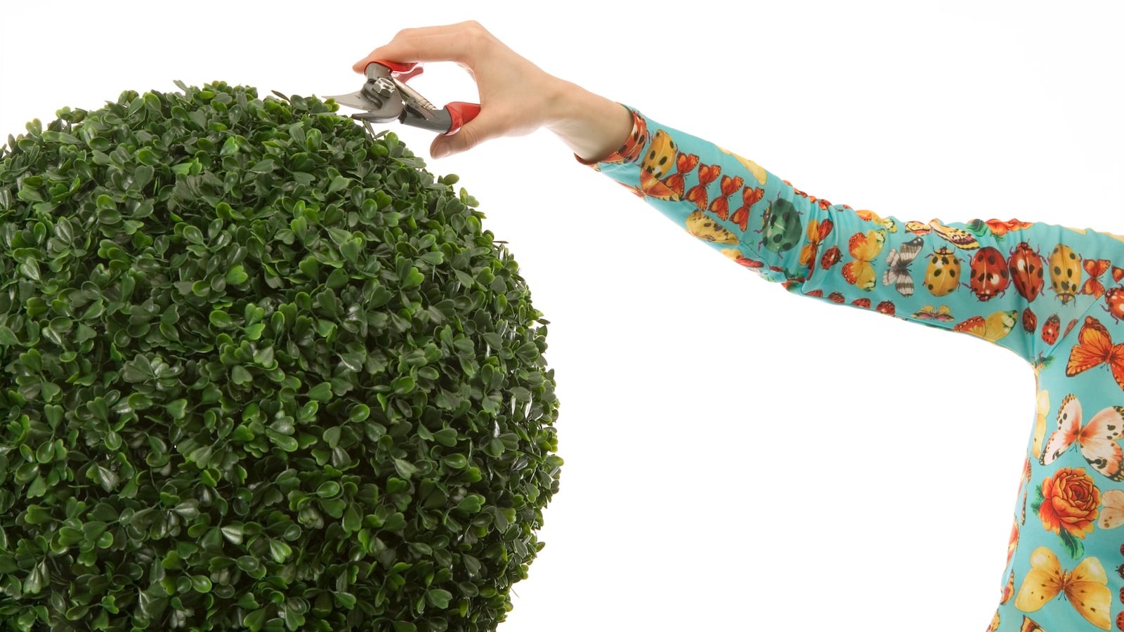 articles/2014/04/10/waxing-damned-if-you-do-and-damned-if-you-don-t-how-pubic-hair-became-political/140409-shire-hair-tease_rlrg3z