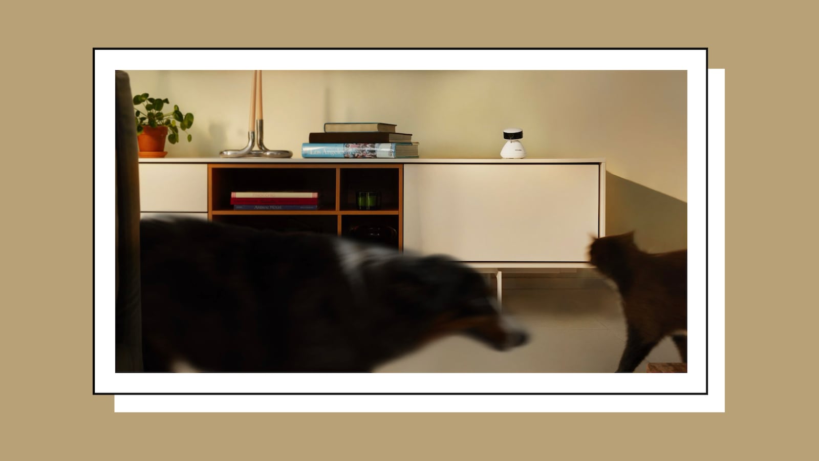 A dog and cat walk by in the foreground while a Scout Smart Camera by Petlibro sits on top a table in the background.