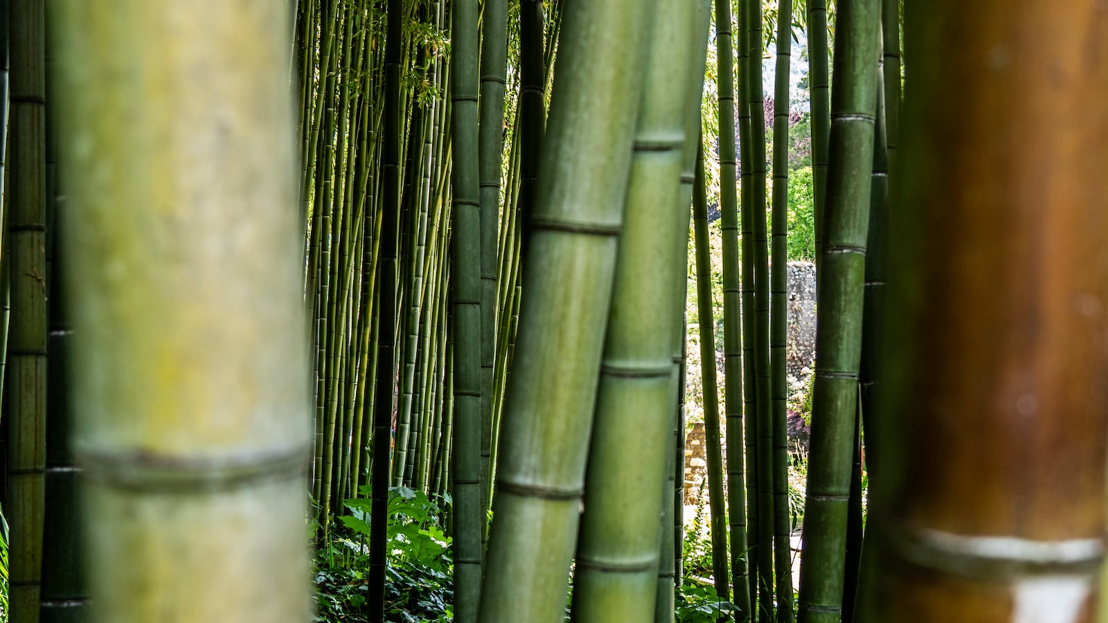 GettyImages-1296527340_jd0ciu