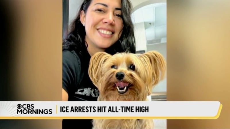 Suarez Reyes, who entered the U.S. legally under a visa waiver program, applied for asylum within 90 days, and has since obtained a work permit and driver's license.