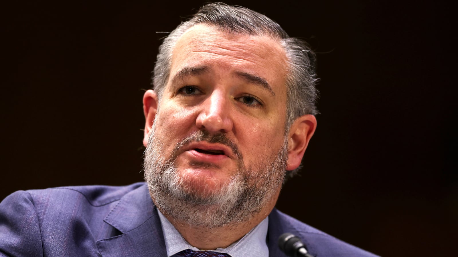 Ted Cruz (R-TX) speaks during the Secretary Senate Agriculture, Nutrition and Forestry Committee confirmation hearing for Brooke Rollins, President Donald Trump's nominee to be Agriculture in the Dirksen building on January 23, 2025 in Washington, D.C.