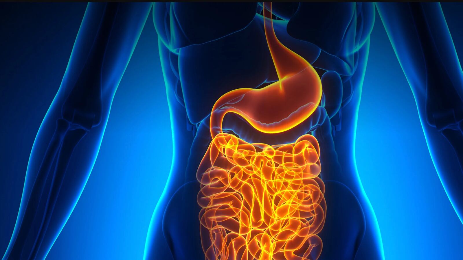 TotalRestorePreLanderGut_d2hfeh