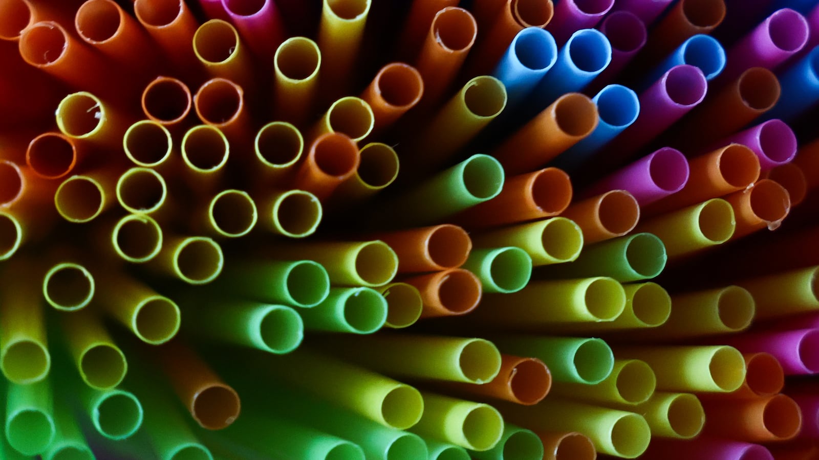 Plastic straws are seen in this illustration photo taken in Krakow, Poland on February 22, 2025. (Photo by Jakub Porzycki/NurPhoto via Getty Images)