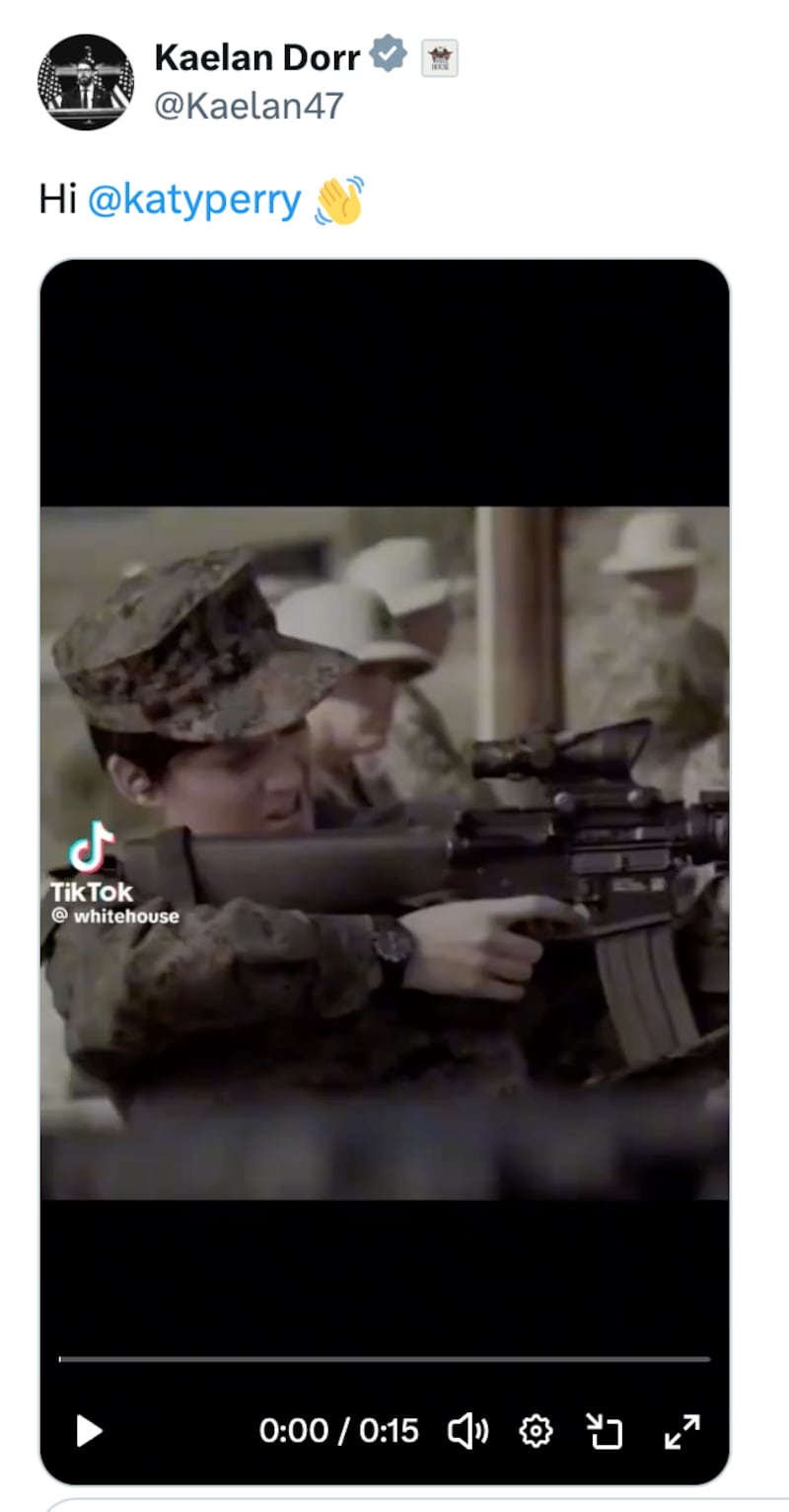 Katy Perry's image is used in a new White House video.